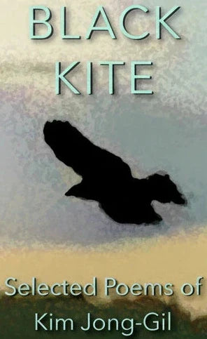 Book cover of 'A Black Kite' with a silhouette of a kite and text on a gradient background